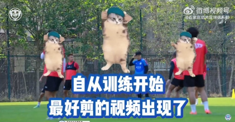 一定要看到最后的功夫訓練視頻