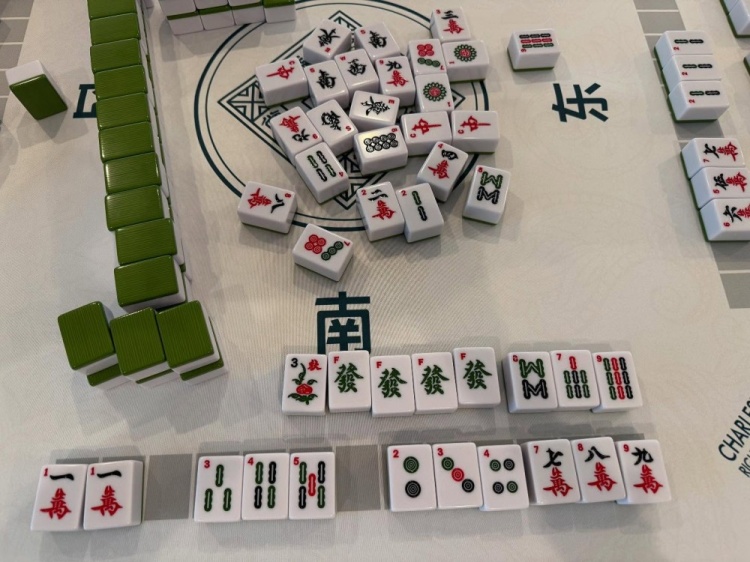 學(xué)習(xí)國(guó)粹！瓦妮莎打起了麻將 這麻將還是外國(guó)特供版